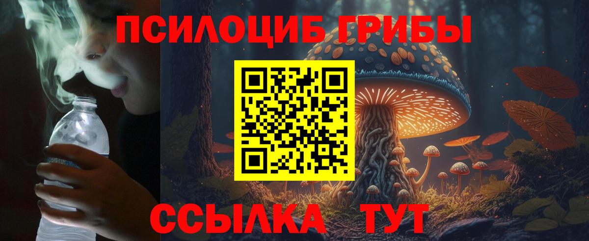 Каменск-Шахтинский  Псилоцибиновые грибы GOLDEN TEACHER  Вход с VPN  Галлюциногенные грибы GOLDEN TEACHER 